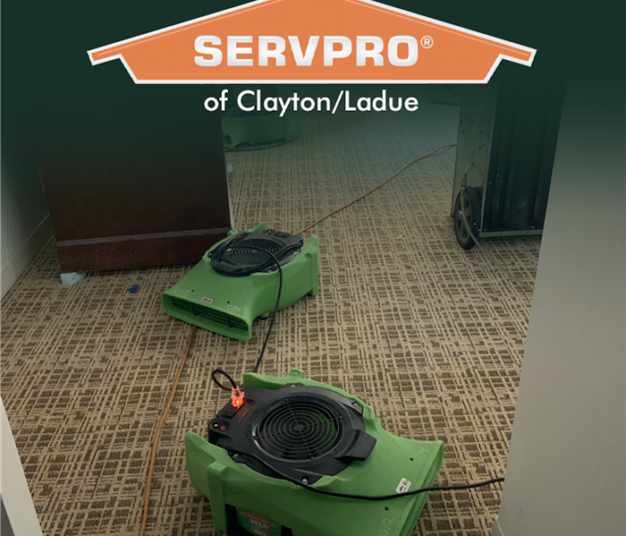Green air movers on a carpet floor in a hotel room. 
