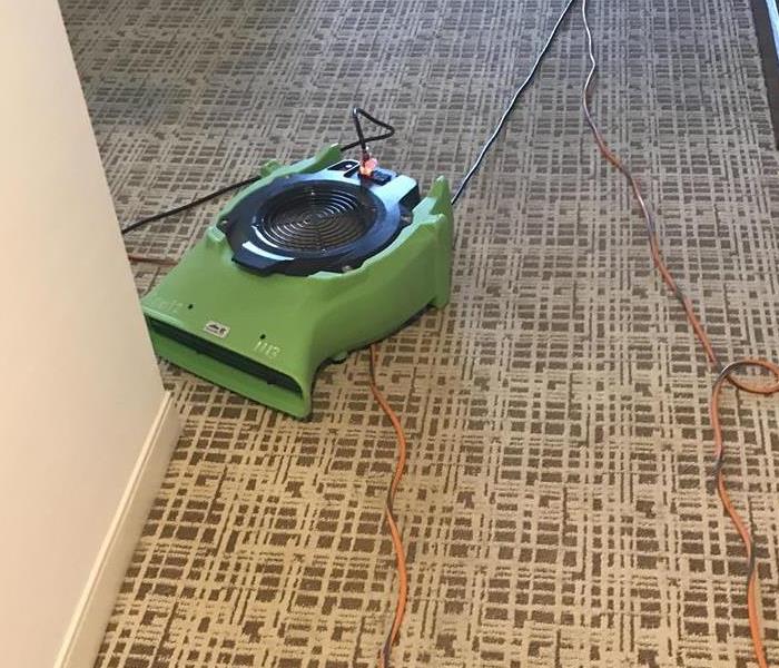 Green air mover on a busy carpet pattern. 