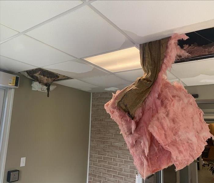 Insulation hanging from caved in ceiling.
