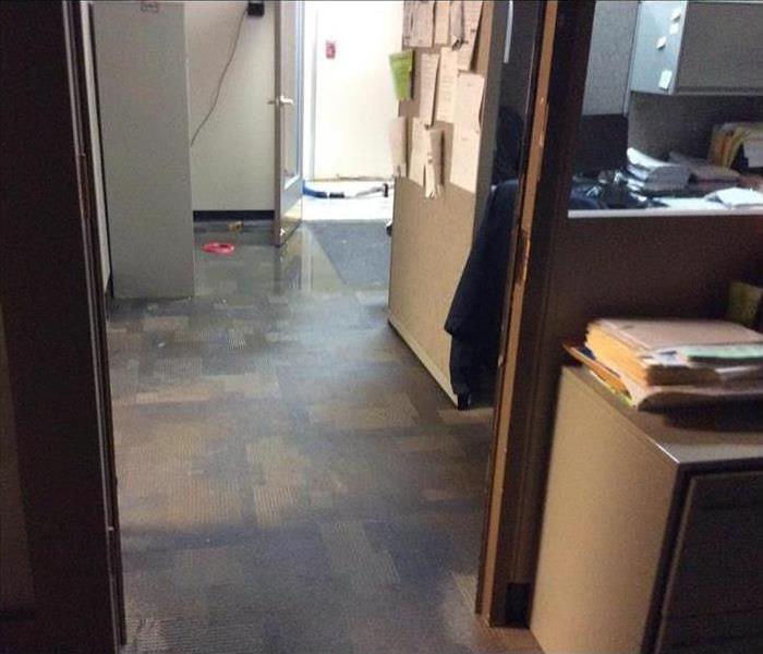 flooded office, wet carpet of office 