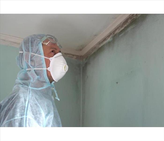 Man wearing protective gear while looking at a wall with mold contamination